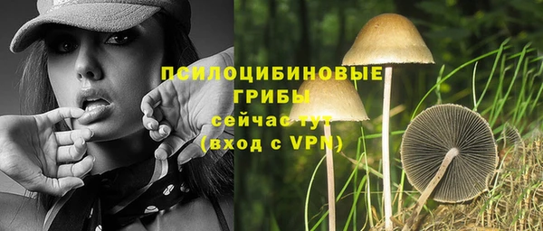 гидропоника Алексеевка