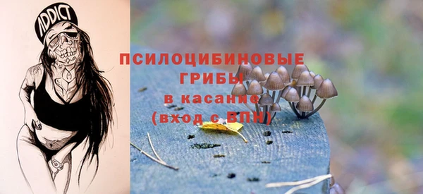 гидропоника Алексеевка